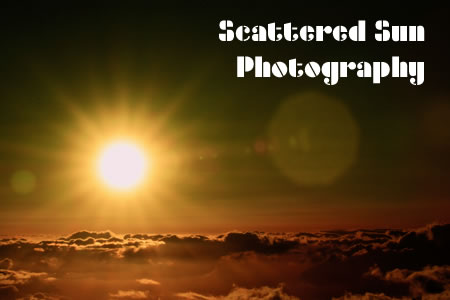 Scattered Sun Photography