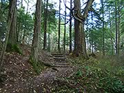 trail at Devonian Park