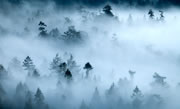 Matheson shrouded in mist
